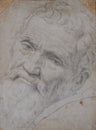 Portrait of Michelangelo by Daniele da Volterra